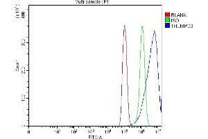 Flow Cytometry analysis of PC-3 cells using anti-THUMPD3 antibody (ABIN7599445).