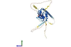 Protein Structure (PS) image for ADP-Ribosylation Factor-Like 13B (ARL13B) (AA 1-428) protein (His tag) (ABIN7552174)