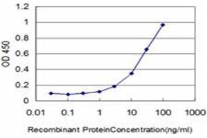Detection limit for recombinant GST tagged CRX is approximately 1ng/ml as a capture antibody. (CRX 抗体  (AA 1-300))
