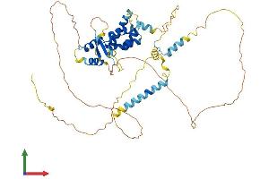Protein Structure (PS) image for Nucleolar Protein 4 (NOL4) (AA 1-483) protein (His tag) (ABIN7556569)