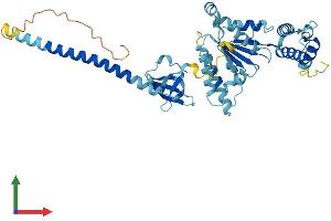 Protein Structure (PS) image for Proteasome (Prosome, Macropain) 26S Subunit, ATPase, 4 (PSMC4) (AA 1-418) protein (His tag) (ABIN7556170)