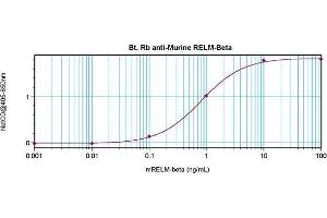 Direct ELISA using RELM beta antibody (RETNLB 抗体  (Biotin))