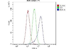 Flow Cytometry analysis of A549 cells using anti-EVA1A antibody (ABIN6719564). (TMEM166 抗体)