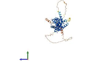 Protein Structure (PS) image for Calcium Channel, Voltage-Dependent, beta 3 Subunit (CACNB3) (AA 1-484) protein (His tag) (ABIN7556165)