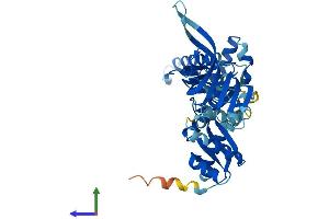 AlphaFold protein structure predicition of Human Recombinant PELO Protein, UniprotID Q9BRX2
