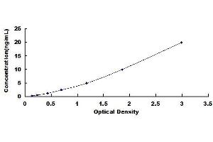 Typical standard curve (ICAM1 ELISA 试剂盒)