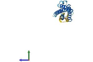 Protein Structure (PS) image for Mal, T Cell Differentiation Protein 2 (MAL2) (AA 1-176) protein (His tag) (ABIN7549229)