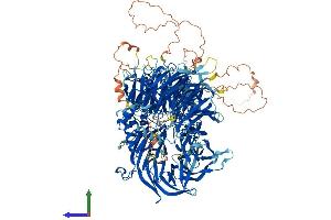 Protein Structure (PS) image for Cleavage and Polyadenylation Specific Factor 1, 160kDa (CPSF1) (AA 1-1443) protein (His tag) (ABIN7553554)