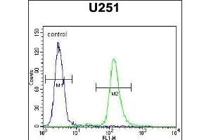AC Antibody (N-term) (ABIN651370 and ABIN2840207) flow cytometric analysis of  cells (right histogram) compared to a negative control cell (left histogram).