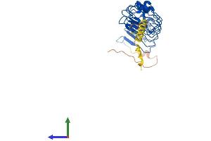 Protein Structure (PS) image for Leucine Rich Repeat Containing 10 (LRRC10) (AA 1-277) protein (His tag) (ABIN7549106)