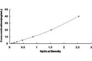 Typical standard curve (CPZ ELISA 试剂盒)