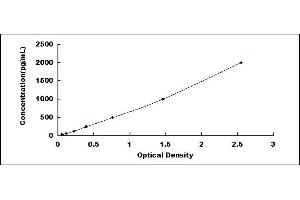 Typical standard curve (TIMP1 ELISA 试剂盒)