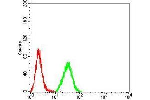 Flow cytometric analysis of Hela cells using MUC5AC mouse mAb (green) and negative control (red).