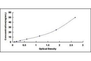 Typical standard curve (OAS1A ELISA 试剂盒)