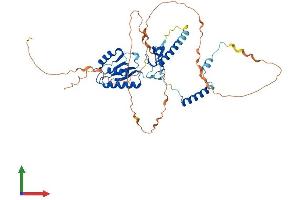 AlphaFold protein structure predicition of Human Recombinant RNF25 Protein, UniprotID Q96BH1