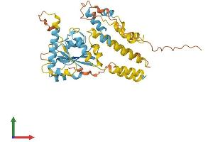 AlphaFold protein structure predicition of Mouse Recombinant Irgc Protein, UniprotID Q8C262