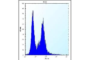 PI15 Antibody (N-term) (ABIN657253 and ABIN2846351) flow cytometric analysis of K562 cells (right histogram) compared to a negative control cell (left histogram). (PI15 抗体  (N-Term))