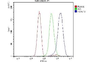 Flow Cytometry analysis of U251 cells using anti-HOXC10 antibody (ABIN7599157). (HOXC10 抗体  (AA 1-250))