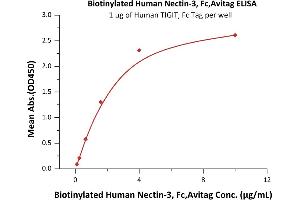 ELISA image for Nectin cell adhesion molecule 3 (NECTIN3) (AA 58-400) (Active) protein (Fc Tag,AVI tag,Biotin) (ABIN5526675)