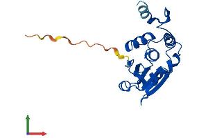 Protein Structure (PS) image for Dual Specificity Phosphatase 21 (DUSP21) (AA 1-190) protein (His tag) (ABIN7547196)