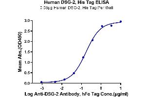 Immobilized Human DSG-2, His Tag at 0. (Desmoglein 2 Protein (DSG2) (AA 50-609) (His tag))