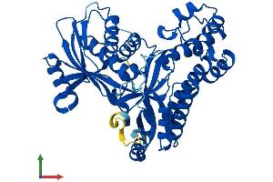 Protein Structure (PS) image for Galactokinase 2 (GALK2) (AA 1-458) protein (His tag) (ABIN7547800)