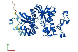 Protein Structure (PS) image for Pantothenate Kinase 3 (PANK3) (AA 1-370) protein (His tag) (ABIN7559712)