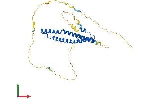 Protein Structure (PS) image for Occludin/ELL Domain Containing 1 (OCEL1) (AA 1-264) protein (His tag) (ABIN7550303)