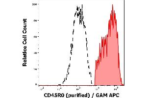 Separation of human CD45R0 positive lymphocytes (red-filled) from CD45R0 negative lymphocytes (black-dashed) in flow cytometry analysis (surface staining) of peripheral whole blood stained using anti-human CD45R0 (UCHL1) purified antibody (concentration in sample 1 μg/mL, GAM APC). (CCL20 抗体)