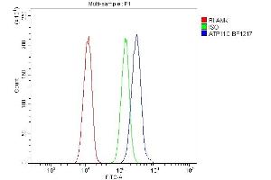 Flow Cytometry analysis of A549 cells using anti-ATP11C antibody (ABIN7602985).
