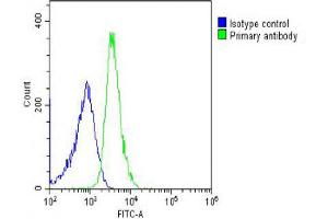 Overlay histogram showing U-2OS cells stained with Antibody (green line). (ITIH4 抗体  (AA 784-816))