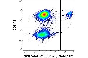 Flow cytometry multicolor surface staining pattern of human lymphocytes using anti-human TCR Vdelta2 (B6) purified antibody (concentration in sample 0,3 μg/mL, GAM APC) and anti-human CD3 (UCHT1) PE antibody (4 μL reagent / 100 μL of peripheral whole blood). (TCR, V delta 2 抗体)