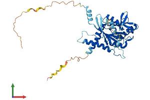 Protein Structure (PS) image for Septin 3 (SEPT3) (AA 1-358) protein (His tag) (ABIN7545936)