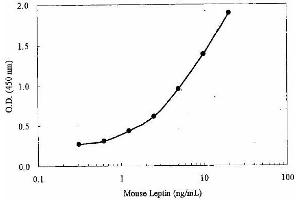 ELISA image for Leptin (LEP) ELISA Kit (ABIN956062)