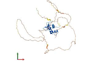 Protein Structure (PS) image for Ets Variant 2 (ETV2) (AA 1-342) protein (His tag) (ABIN7547372)