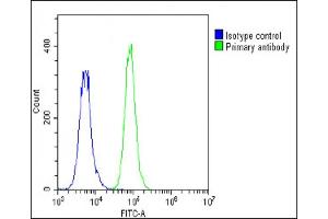 Overlay histogram showing A549 cells stained with (ABIN390928 and ABIN2841130)(green line). (IGFBP4 抗体  (N-Term))