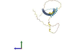 AlphaFold protein structure predicition of Human Recombinant CAVIN3 Protein, UniprotID Q969G5