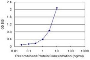 Sandwich ELISA detection sensitivity ranging from 0. (EEF1G (人) Matched Antibody Pair)