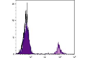 Chicken peripheral blood lymphocytes were stained with Mouse Anti-Chicken Bu-1b-UNLB. (Bu-1b 抗体  (Biotin))