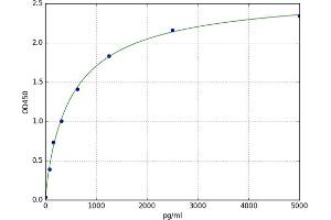 Pro-Brain-Derived Neurotrophic Factor (proBDNF) ELISA Kit