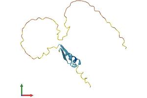 Protein Structure (PS) image for Ripply2 Homolog (RIPPLY2) (AA 1-128) protein (His tag) (ABIN7551401)