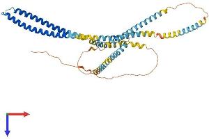 Coiled-Coil Domain Containing 51 (CCDC51) (AA 1-406) protein (His tag)