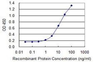 Detection limit for recombinant GST tagged TECTA is 0. (TECTA 抗体  (AA 1981-2080))
