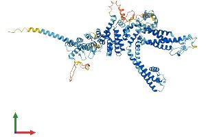 Protein Structure (PS) image for Transient Receptor Potential Cation Channel, Subfamily C, Member 7 (TRPC7) (AA 1-862) protein (His tag) (ABIN7555843)