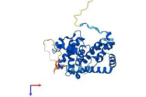 Cyclin D3 Protein (CCND3) (AA 1-292) (His tag)
