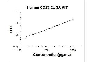 Human CD23/FCER2 PicoKine ELISA Kit standard curve