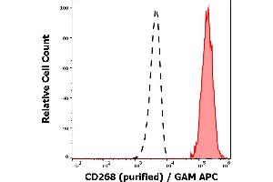 Separation of human CD268 positive lymphocytes (red-filled) from neutrophil granulocytes (black-dashed) in flow cytometry analysis (surface staining) of human peripheral whole blood stained using anti-human CD268 (11C1) purified antibody (concentration in sample 0,6 μg/mL, GAM APC). (TNFRSF13C 抗体)
