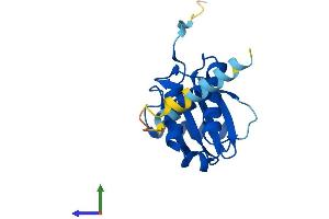 Protein Structure (PS) image for Coatomer Protein Complex, Subunit zeta 1 (COPZ1) (AA 1-177) protein (His tag) (ABIN7546682)