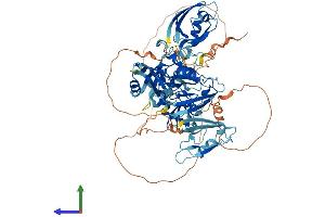 Protein Structure (PS) image for Ligand of Numb-Protein X 1 (LNX1) (AA 1-728) protein (His tag) (ABIN7554415)