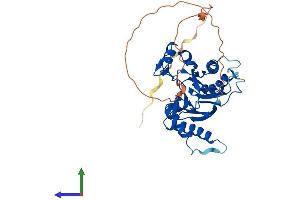 Protein Structure (PS) image for Integrin-Linked Kinase-Associated Serine/threonine Phosphatase 2C (ILKAP) (AA 1-392) protein (His tag) (ABIN7559629)